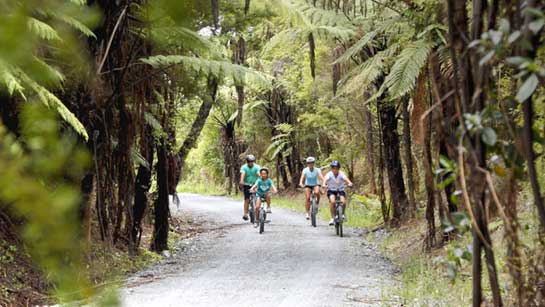 Twin Coast Cycle Trail