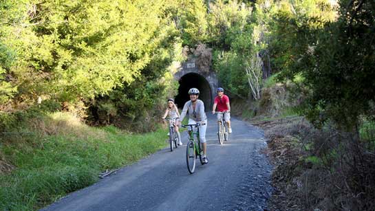 Twin Coast Cycle Trail